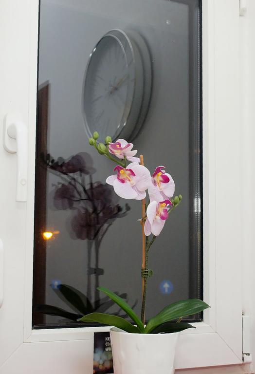 Apartament Fancy 1Bd Family Friendly In Historical Centre Bukareszt Zewnętrze zdjęcie